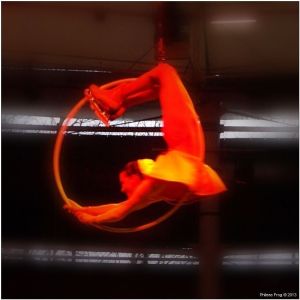 G020
