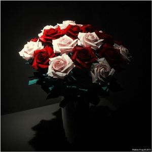 G027