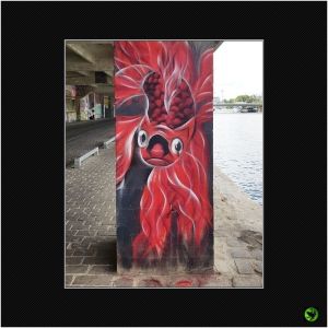 INANI_010
