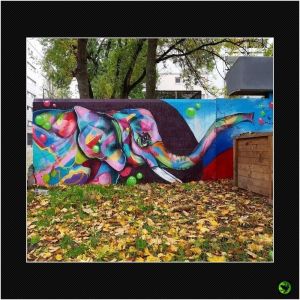 INANI_019