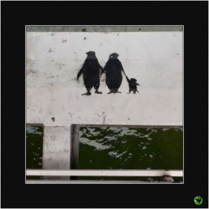 INANI_021