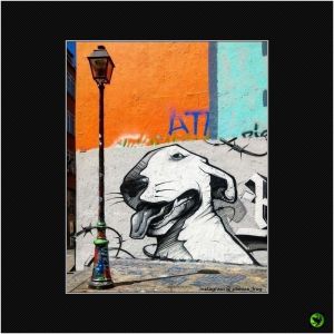 INANI_022