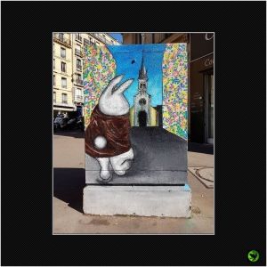 INANI_031