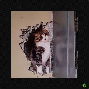 INANI_038