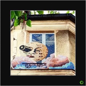 INDIV_004