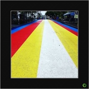 INDIV_008