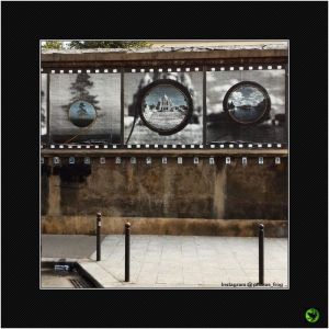 INMUR_003