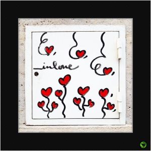 INLOV_016