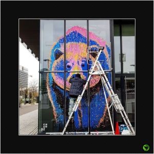 INWOM_041