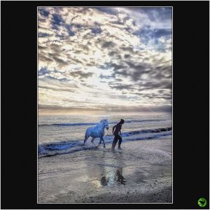 Ecuyere_02