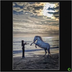 Ecuyere_05