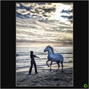 Ecuyere_06