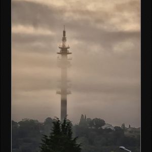 TB_010