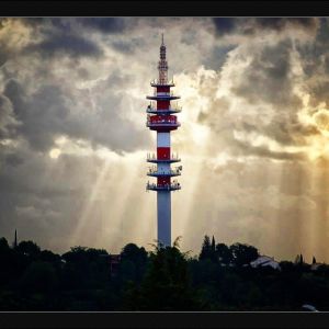TB_019