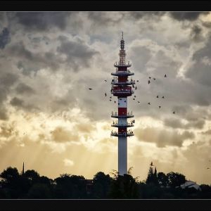 TB_020