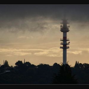 TB_024