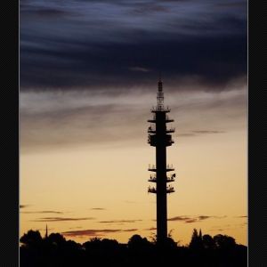 TB_031