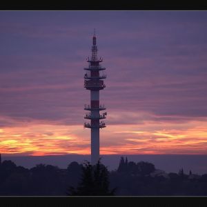 TB_043